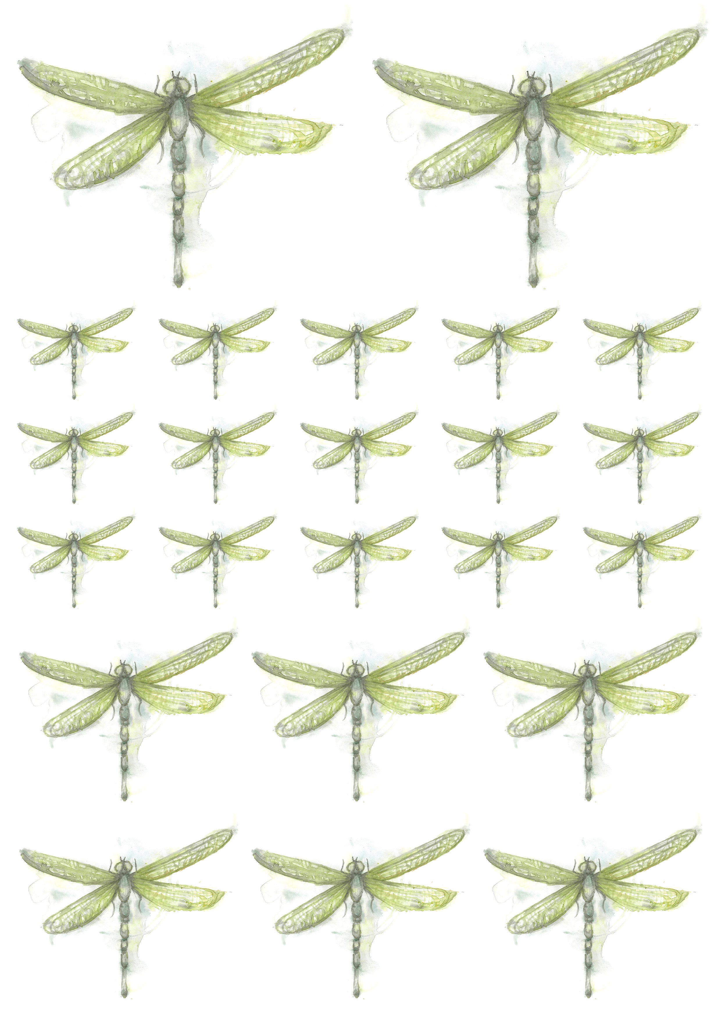 Ready to use Decal Arts Libellen_00001