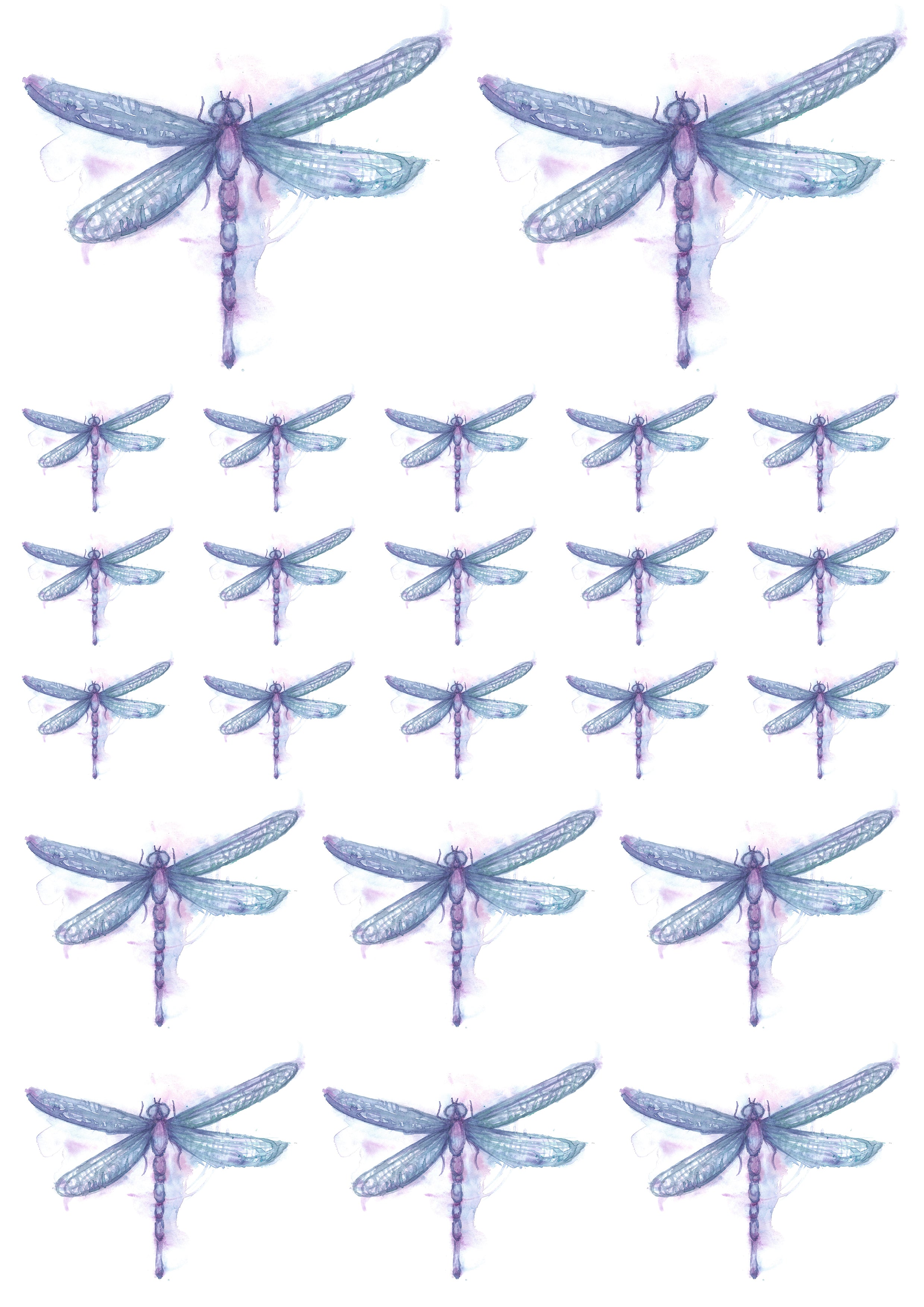 Ready to use Decal Arts Libellen_00002